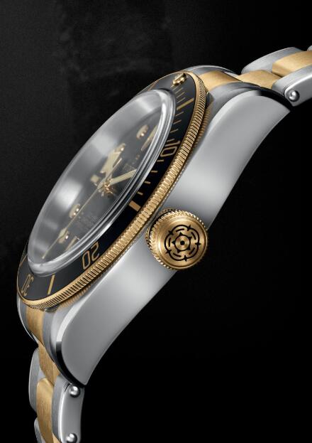 Tudor BLACK BAY S&G M79733N-0008 Replica Watch
